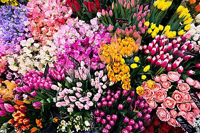 3DM速报：《地平线5》等数十作将XGP首发 魂系最终幻想公布