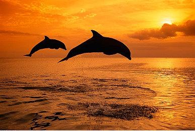 经典游戏缤纷重生！《索尼克 缤纷色彩 究极版》今日发售！